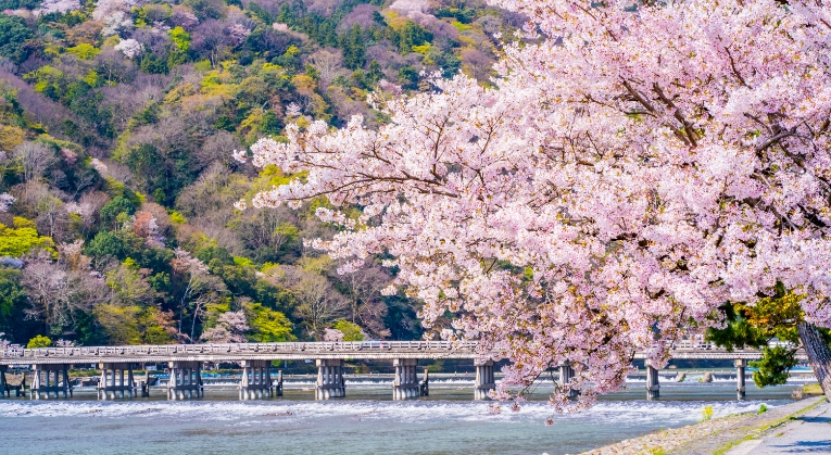 【沖縄・南風原】オーダーメイド旅行 | ガリバー旅行企画